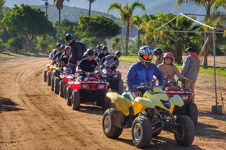 Shore Excursion Ensenda ATV Adventure w Taco stop Bufadora option