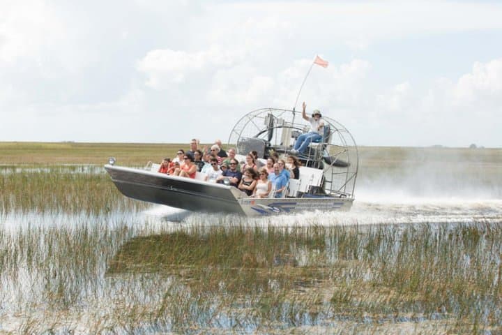 Florida Everglades Airboat Adventure and Wildlife Encounter