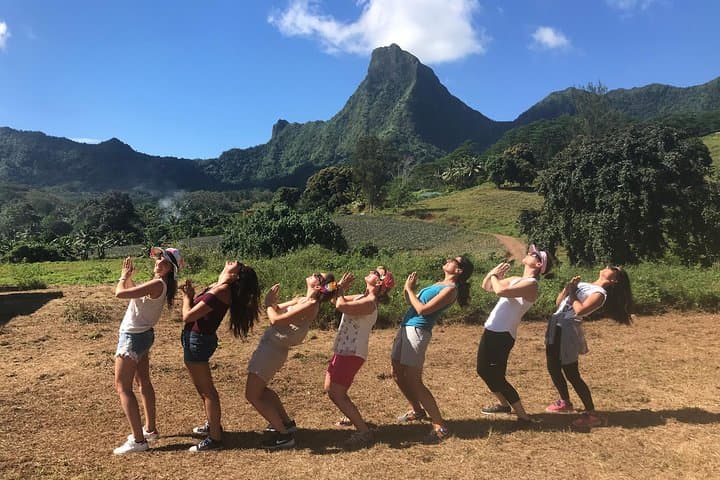 Moorea 4WD Tour: Magic Mountain, Belvedere, Pineapple Road & More
