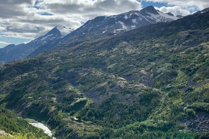 White Pass Deluxe Tour from Skagway