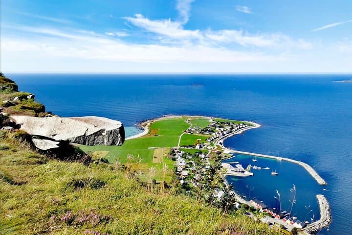 Ålesund Shore Excursion and 6 beautiful highlight stops minibus
