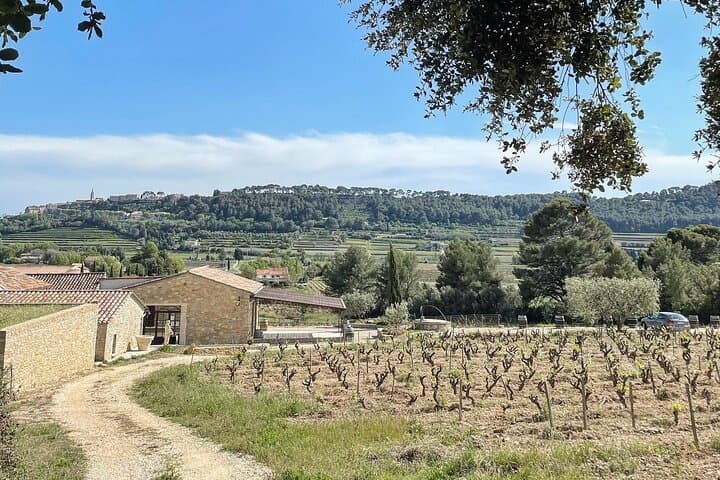 Tasting Bandol Wines & Visit of Cellar (in English)