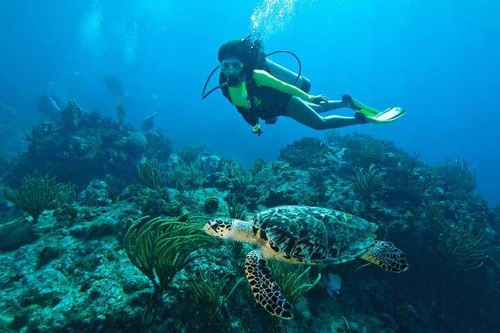 Two-Tank Morning Dive Trip for Certified Divers